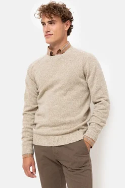 Shop Beige Heren Sweater Met Ronde Hals Heren Sweaters & Cardigans